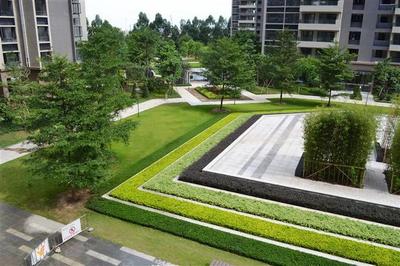 構(gòu)建和諧生態(tài)空間 解析綠化組團(tuán)、層級綠化與廣場景觀工程的融合設(shè)計(jì)